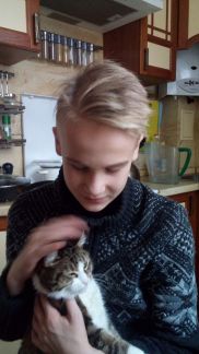 Передержка кошек