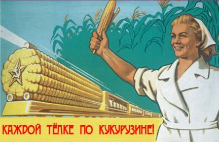 Сушка кукурузы
