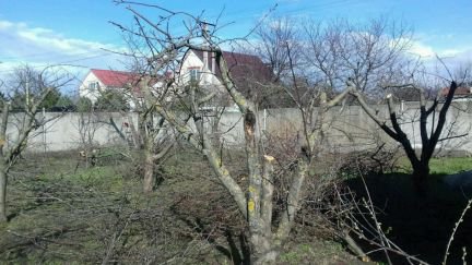 Обрезка деревьев, омоложение сада