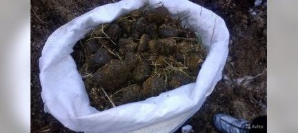 Породам конный навоз