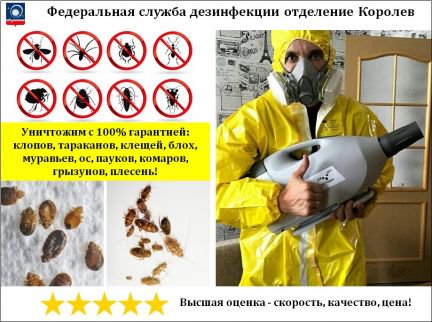 Уничтожение клопов, тараканов, клещей, насекомых