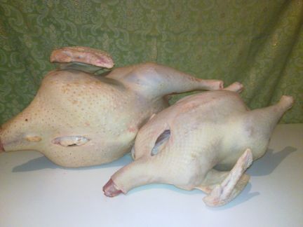 Индюшиные тушки