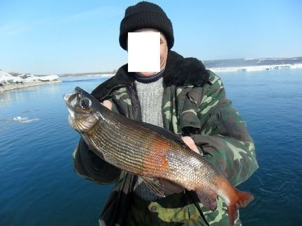 Рыбалка на хариуса на Угрюм реке 