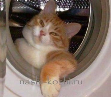 Ремонт стиральных машин(автомат)