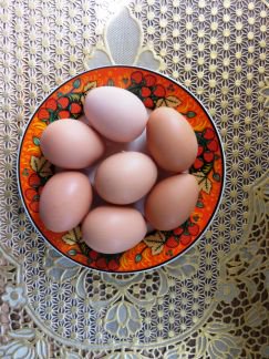 Яйцо домашнее куриное