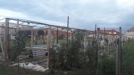Теплица