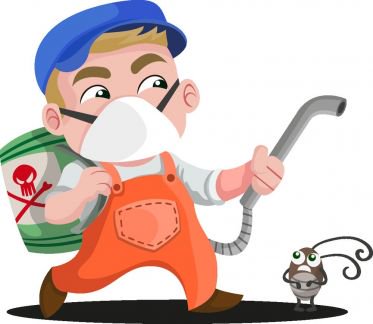 Обработка квартир,участков от насекомых,грызунов
