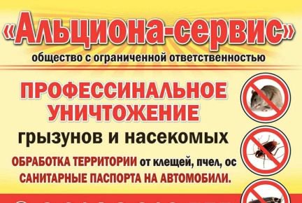 Профессиональное уничтожение грызунов и насекомых
