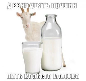 Козье молоко