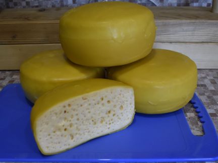 Сыр домашний из козьего молока