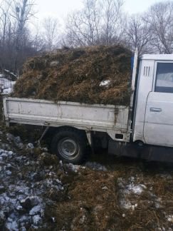 Навоз