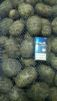 Продаю картофель желтый
