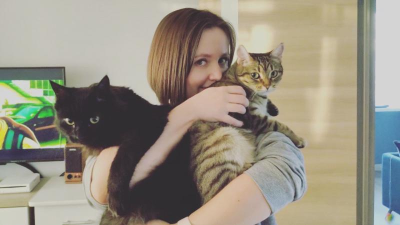 Приходящая котоняня кэтситтер няня для кошки в Тюмени Приходящая котоняня кэтситтер няня для кошки в Тюмени