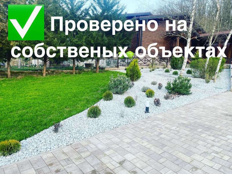 Ландшафтный дизайн Сочи