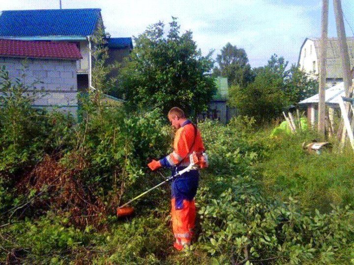 Уборка территории, участка. Покос травы. Спил деревьев