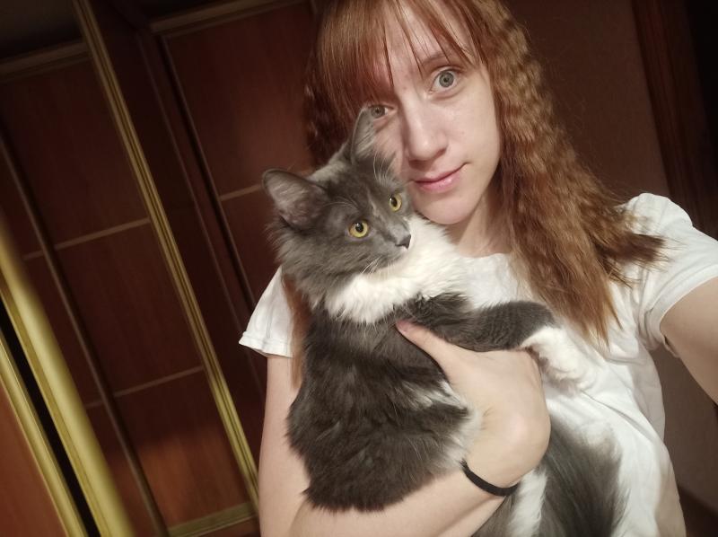 Домашняя передержка для кошек Домашняя передержка для кошек