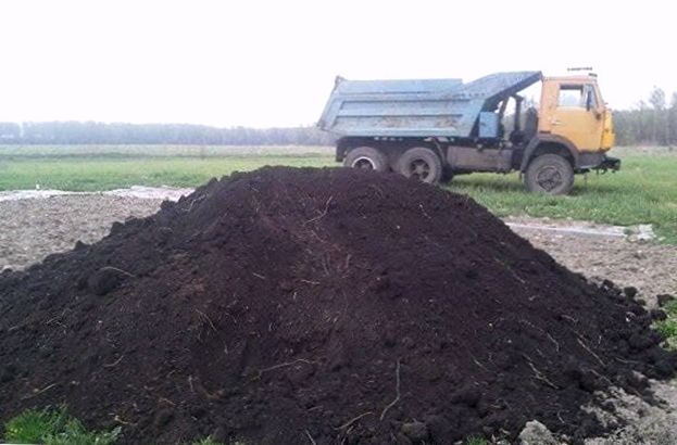 Чернозем Земля плодородная Грунт на огород