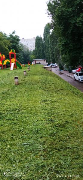 Покос травы Саратов Энгельс дачи Покос травы Саратов Энгельс дачи