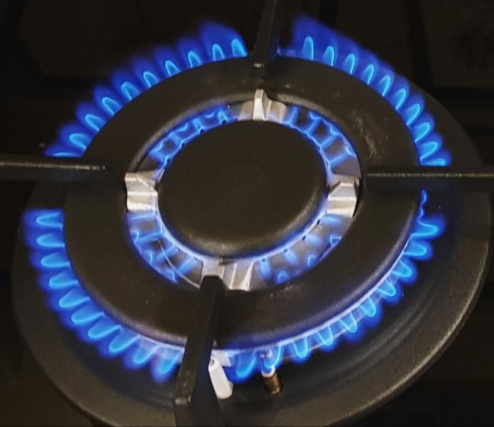Ремонт газовых колонок, плит, панелей, духовых шкафов Ремонт газовых колонок, плит, панелей, духовых шкафов