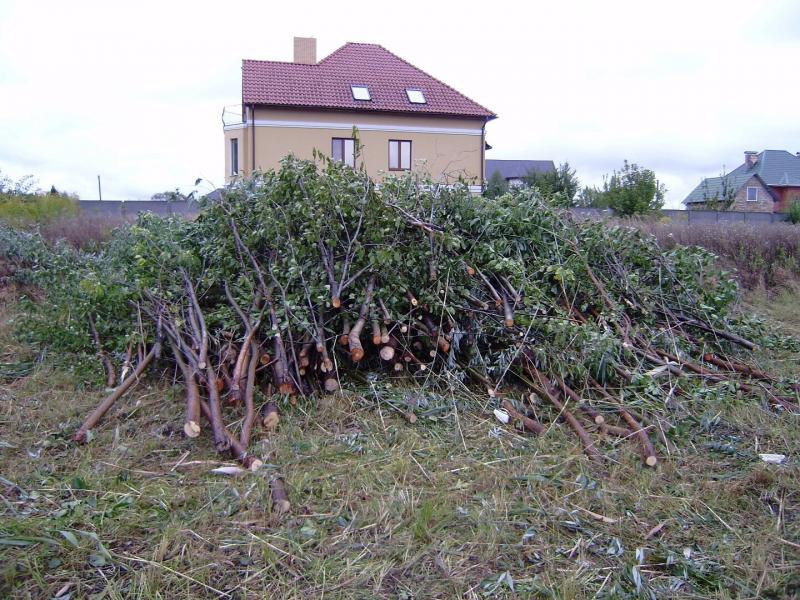 Расчистка участков Барнаул. Уборка территории. Вывоз мусора 