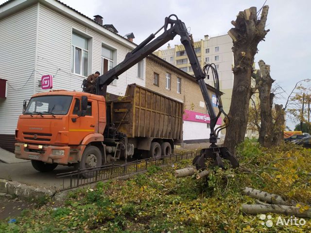 Контейнер
КамАЗ
Газель
Лодочка
Бункер