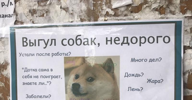 Выгул собак