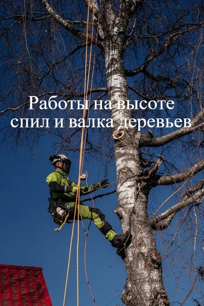 Спил деревьев, расчистка участков, дробление пней.