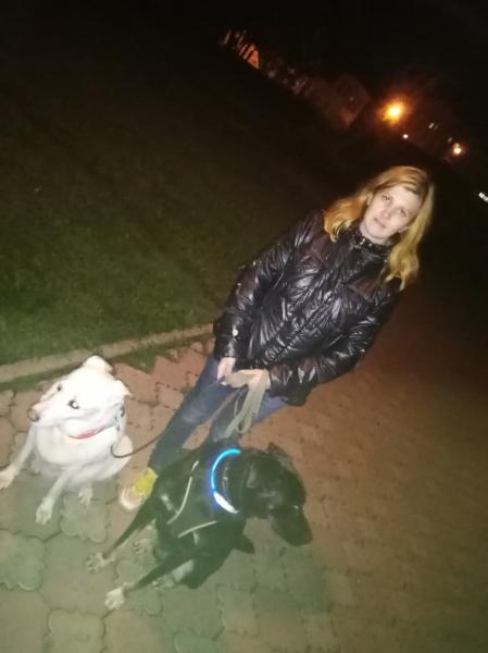 Выгул собак, дрессировка собак, зооняня