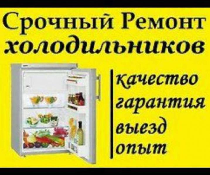 РЕМОНТ ХОЛОДИЛЬНИКОВ И МОРОЗИЛЬНЫХ КАМЕР НА ДОМУ РЕМОНТ ХОЛОДИЛЬНИКОВ И МОРОЗИЛЬНЫХ КАМЕР НА ДОМУ