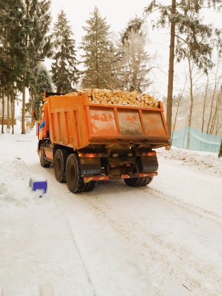 Берёзовые дрова