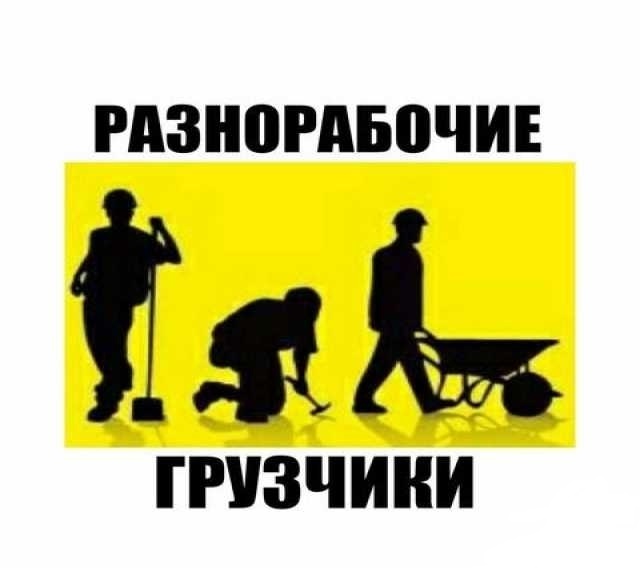 Услуги разнорабочих в Казани | Помощь на участке
