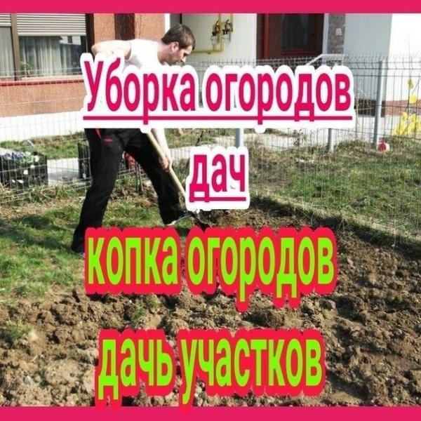Помощники на дачу