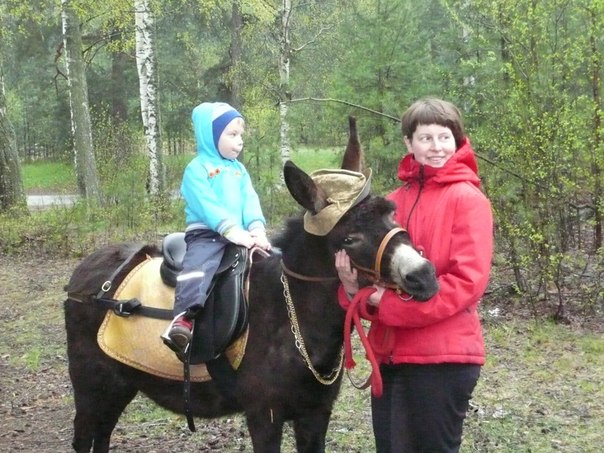 Верховые прогулки на пони ослике Айгюль