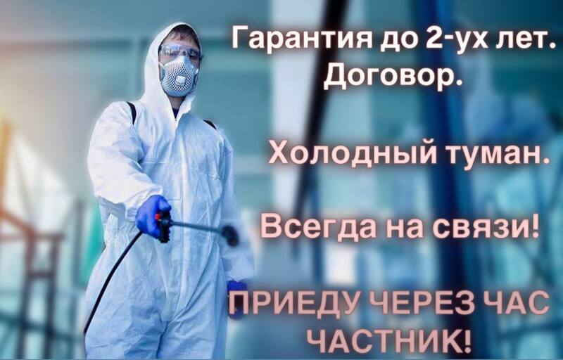Дезинфекция Уничтожение тараканов клопов мышей Дезинсекция.