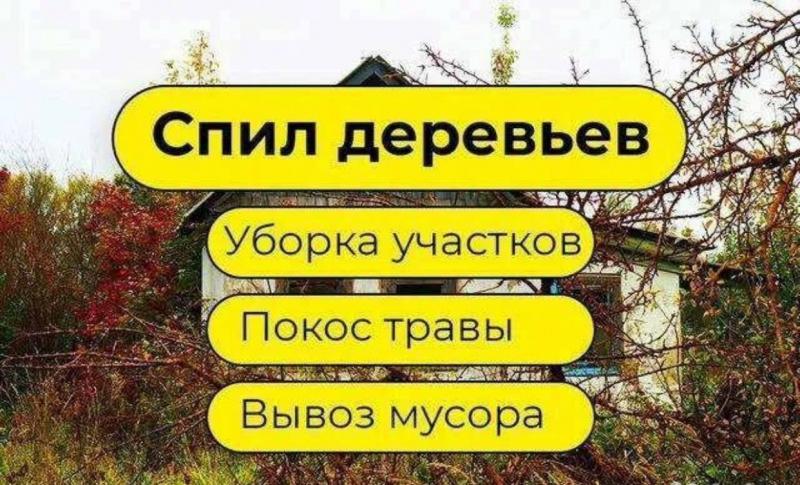 Уборка дачных участков / Уборка территории / спил деревьев