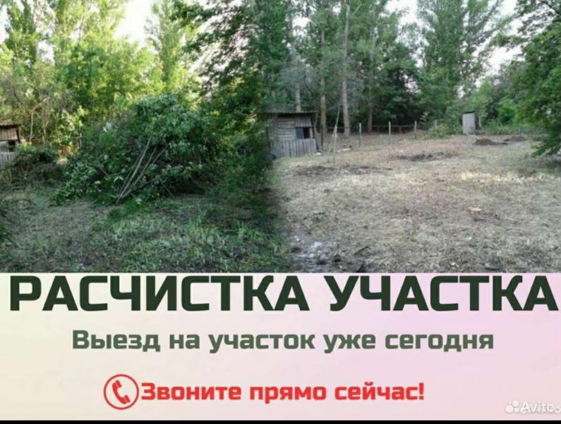 Уборка дачных участков,спил деревьев,покос травы Уборка дачных участков,спил деревьев,покос травы
