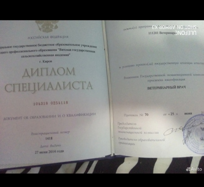 Ветеринарный врач хирург