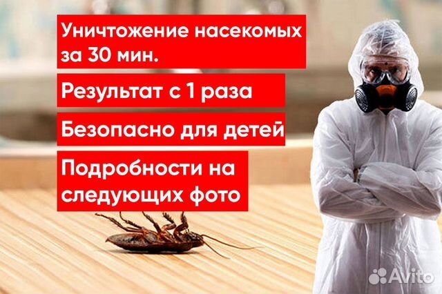 Дезинфекция помещений. Уничтожение клопов, крыс
