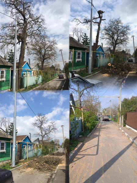 СПИЛ ДЕРЕВЬЕВ 