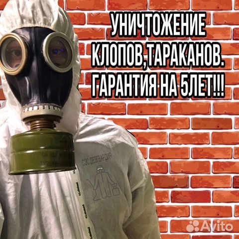Уничтожение клопов, травить тараканов. Дезинфекция
