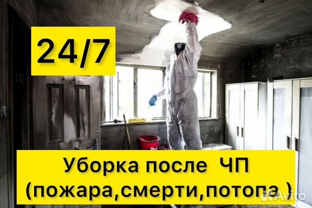 Уничтожение клещей, грызунов, клопов, крыс