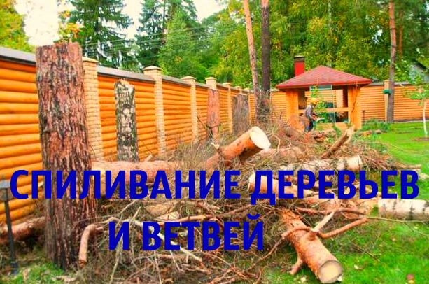 Спиливание деревьев, земляные работы, демонтаж