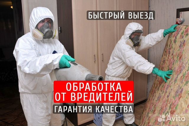 Уничтожение клопов, тараканов, крыс, мышей