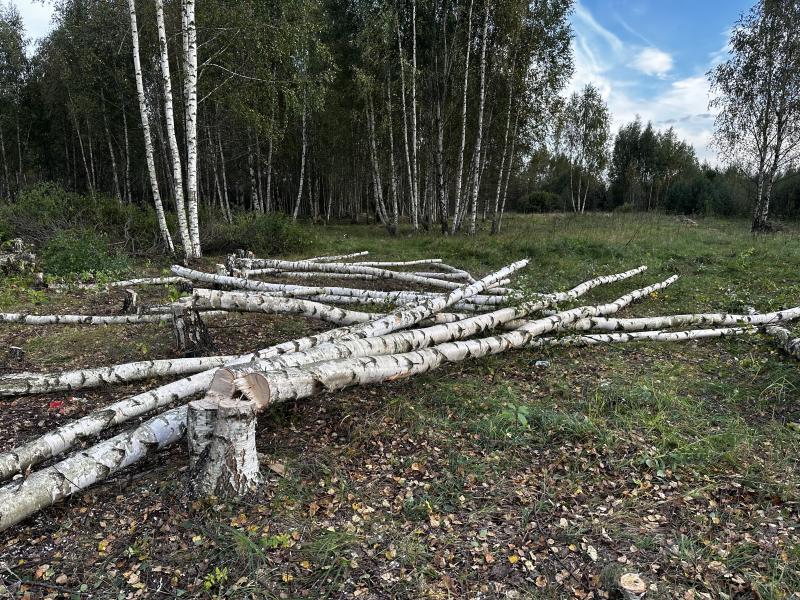 Удаление деревьев