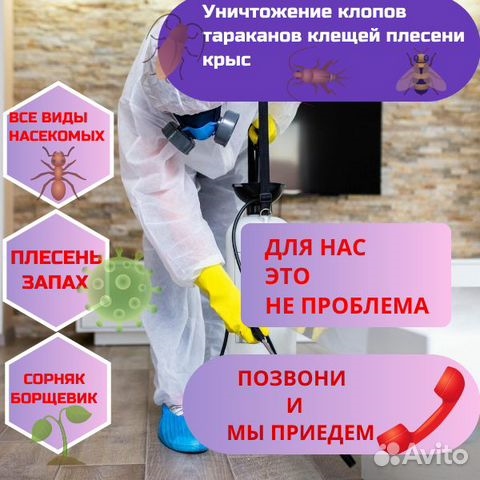 Уничтожение клопов, травить тараканов. Дезинфекция