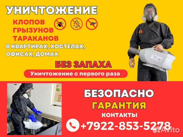 Уничтожение клопов, тараканов, крыс