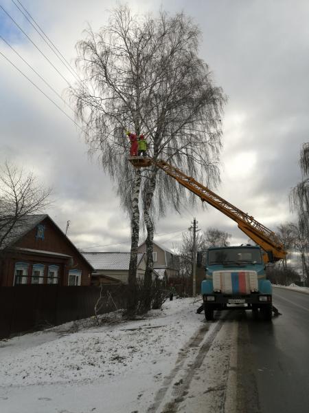 Спил деревьев 