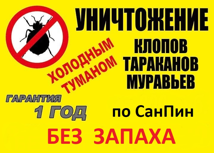 Уничтожение Муравьев Уничтожение Муравьев
