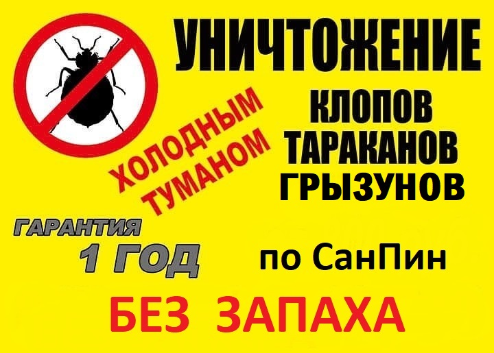 Уничтожение Грызунов Уничтожение Грызунов