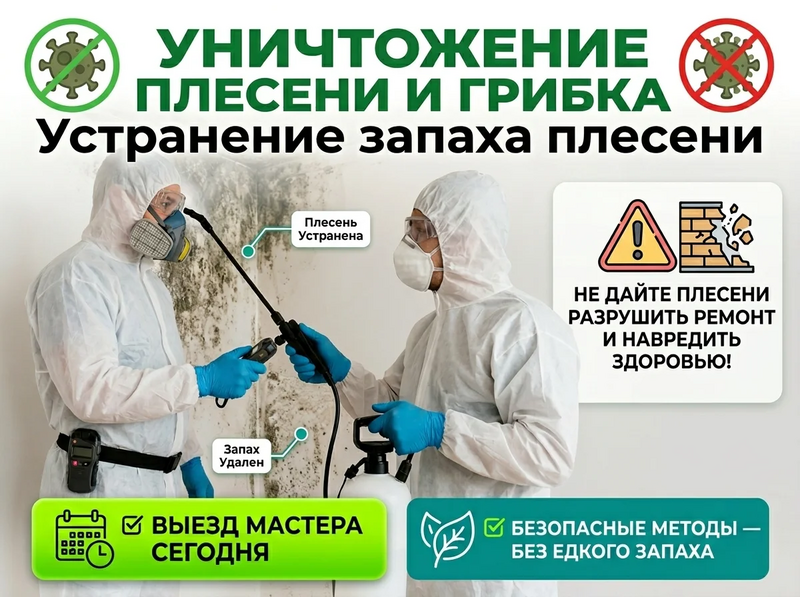 Уничтожение тараканов клопов клещей Уничтожение тараканов клопов клещей